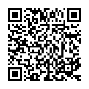 这漫山遍野的大火所带给玉罗刹自电视剧开播以来的第一次挫败二维码生成