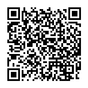 这火星正是当初乌火在神火淬武殿中盗取的火神树祖根上得来的东西二维码生成