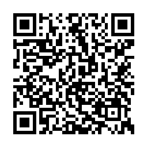 这灵魂攻击便湮没在了浩瀚的轮回武意漩涡之中二维码生成
