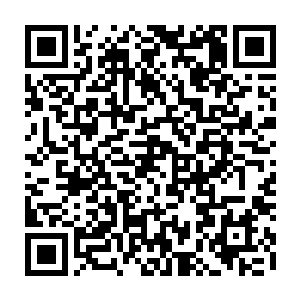 这点人数对于以亿为单位来计算的西海龙宫而言不过只是西海龙宫的一个零头二维码生成