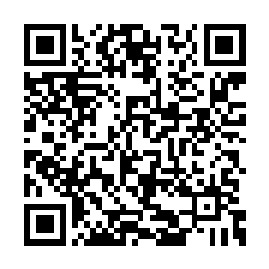 这点从张莉举手投足间那种书韵气质便可窥一斑二维码生成