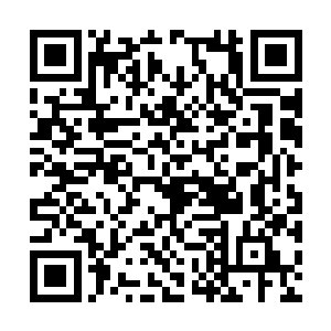 这点反而被四大宗派和猎海联盟给有意识的忽略了二维码生成