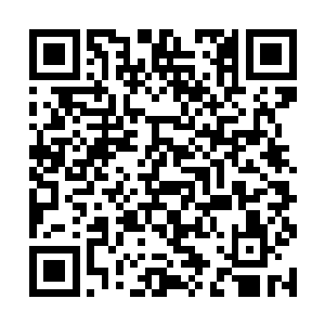这点微小的加速感顿时让这些半身人们一阵鬼哭狼嚎二维码生成