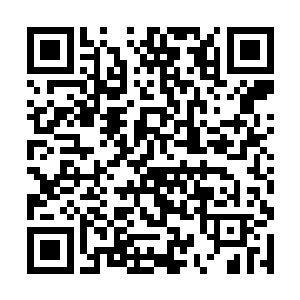 这点林辰从对方不带丝毫虚假成分的表情中便能看出二维码生成