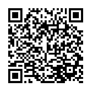 这点疼算什么……又没有破……就起了个包而已……二维码生成