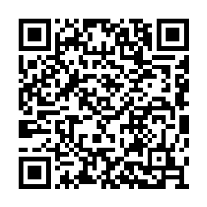 这点龙族得天独厚……蛟龙血统极限寿命三千年二维码生成