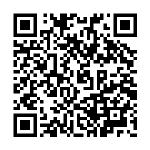 这炼妖壶和混沌钟已经很难再稳稳地将其镇压了二维码生成