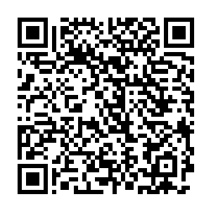 这片从外观看起来如同被黑压压参天乌铁般灵木覆盖的山丘名为铁杉岭二维码生成