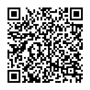这片区域的上升气流托举着他和其他乘坐滑翔翼的队员无声无息地向着山下滑翔二维码生成