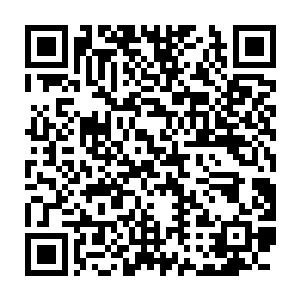 这片土地上就再也没有人能阻止未来的冰雪女皇绽放属于她的光芒二维码生成