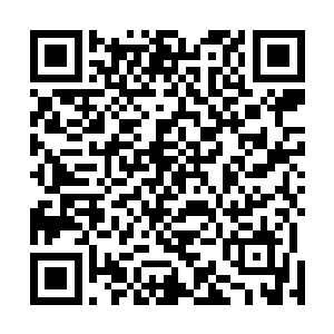 这片地区是倒霉地被时间流速恐怖的一个梦境波及了……二维码生成