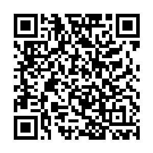 这片地域内似乎没人达到了六转天空圣师境界的强者二维码生成