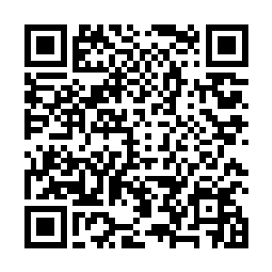 这片大陆上的所有智慧和非智慧种族都会站到你这一边二维码生成