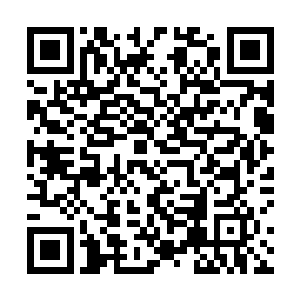 这片大陆上的生物就会主动想尽办法把所有有角人杀死二维码生成