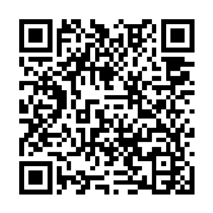 这片曾经他活跃的战地上没有什么值得留恋的东西二维码生成