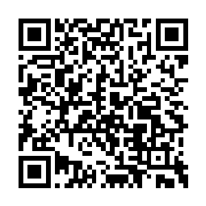 这片海域比你们十方大海的深海还要可怕无数倍二维码生成