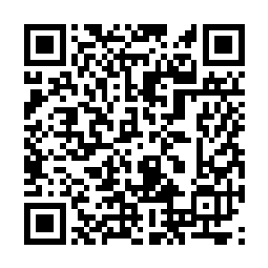 这片海域附近据说最近有一头九级元兽绿蛟龙出没二维码生成