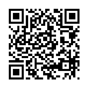 这片深林的环境特别适合他们的生存二维码生成