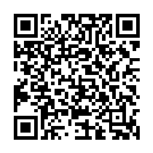 这片湖和周围的一小片树林都是沙罗獭的活动区域二维码生成