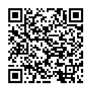 这片环形山中间人魔双方正在火热对峙的平原盆地是0二维码生成