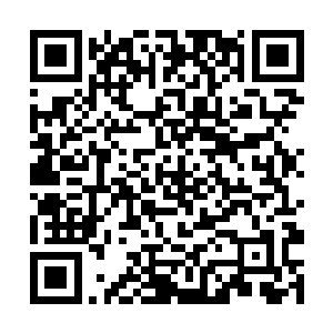 这片绿油油的草地已经周围的植被都不像是世俗之物二维码生成