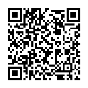 这片阵地和附近的几百米区域无一例外的冒着浓烟二维码生成