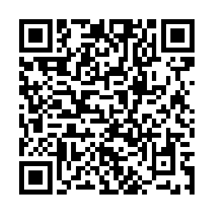 这牵扯到的可是一个票房福星以及她所代表的数亿二维码生成