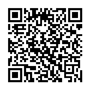 这特么完全是网络小说主角狂开金大腿才能办到的事情啊二维码生成