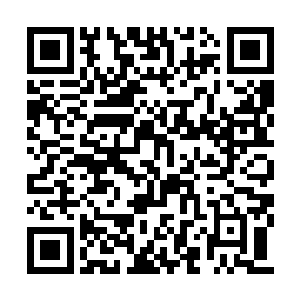 这狂暴的威压让江逸上空的空间都微微颤抖起来二维码生成