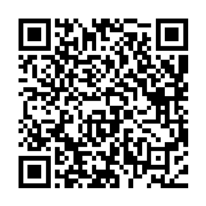这独角犀幻象的身体结构和弱点居然都与真实的独角犀一模一样二维码生成