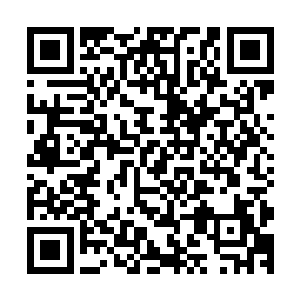 这猛烈的大火没一会儿就这汤锅里的水煮的咕噜咕噜的沸腾着二维码生成