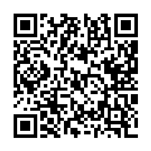 这猴子是眦睚必报的性格三界之中早就人尽皆知了二维码生成