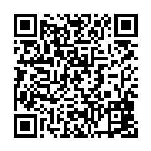 这玉如意上也顿时爆发出一道道璀璨的碧绿光辉二维码生成