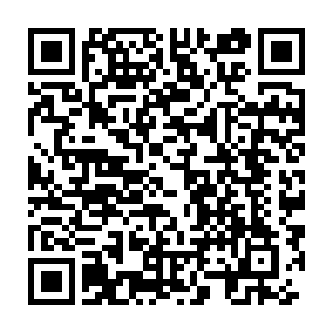 这玉蜀黍栽种的时间不是和花生冲了……怎么可能种得出七八百两银子二维码生成