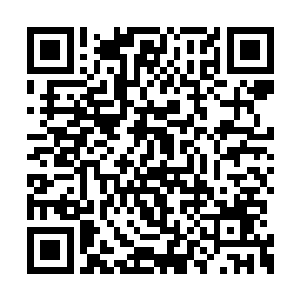这王公子做的其实和第二会所的性质是差不多的二维码生成