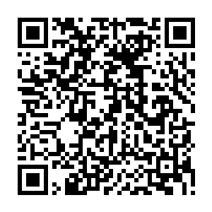 这王者墓碑上面的痕迹都是几百年前一个个恐怖的王境强者所留下的精华二维码生成