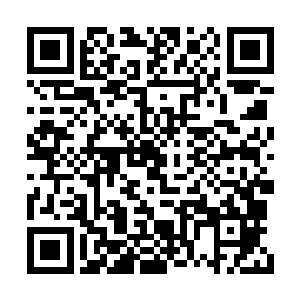 这玩意儿除了生命力顽强基本上就没什么优点了二维码生成