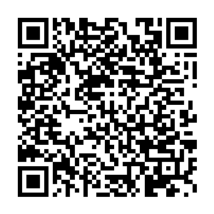 这璀璨的圣光显然对于那散发着凛冽魔气的骸骨山有着很强的克制能力二维码生成