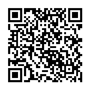 这甚至还不够两个大能修者对决表现一下绝学的时间二维码生成