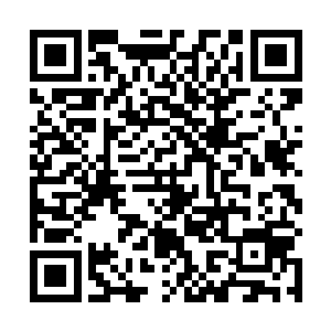 这生命之源的恐怖远远比他想象之中的更加的恐怖的多二维码生成