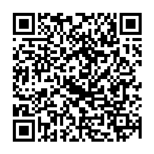 这由火系元素凝聚而出的火焰刀芒显然不仅仅是拥有了火系元素的高温和破坏力二维码生成