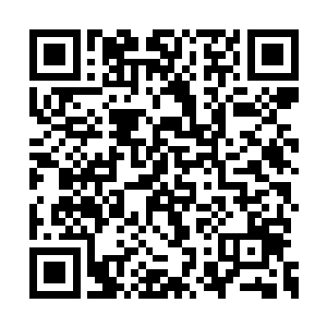 这男子就这么直直地盯着杨开识海中的七彩宝岛二维码生成