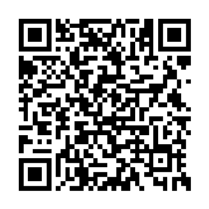 这留下来的熬家高手是一名实力极为厉害的青年二维码生成