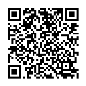 这疯魔仙体劲便是一种可以转化外来劲气的功法二维码生成