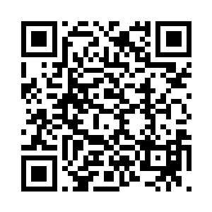 这白沙森林也是引起了杨风的好奇心二维码生成