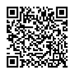这白石上人肯定是在幻阵之中什么好处都没摸到二维码生成