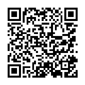 这白立很大的可能便是用了阴谋诡计才杀死我徒儿的二维码生成