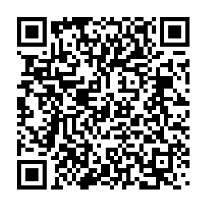 这白老太不会是想让我和二叔再把秀儿的尸体放回棺材里头埋起来吧二维码生成