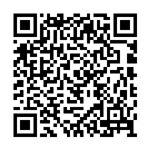 这白衣僧人此刻所用的显然也是佛门的音波秘术二维码生成