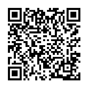 这白袍老者附近有三十名气息强大的武者四处散开警戒二维码生成